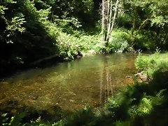 DSCN6605 DSCN6605