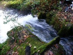 DSCN9977 DSCN9977