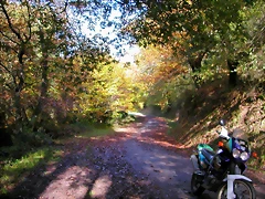 DSCN0086 DSCN0086