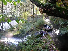 DSCN9976 DSCN9976