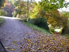 DSCN0084 DSCN0084
