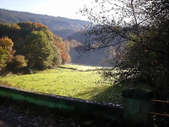 DSCN9972 DSCN9972