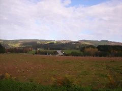 DSCN0077 DSCN0077