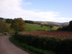 DSCN0078 DSCN0078