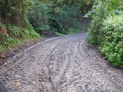 DSCN0079 DSCN0079
