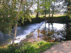DSCN0093 DSCN0093