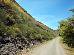 DSCN1035