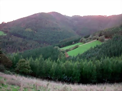DSCN6330 DSCN6330