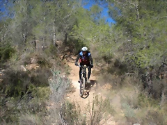 mtb olocau 015 mtb olocau 015