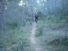 mtb olocau 006 mtb olocau 006