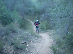 mtb olocau 004 mtb olocau 004