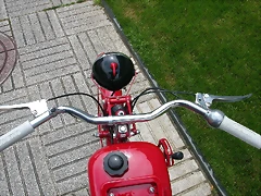 DSCN0308 DSCN0308