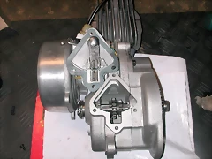 DSCN0079 DSCN0079