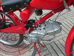 DSCN0305 DSCN0305