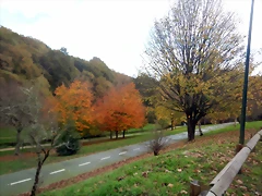 DSCN1784 DSCN1784