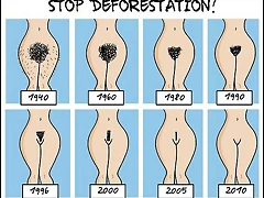 stop_deforestation