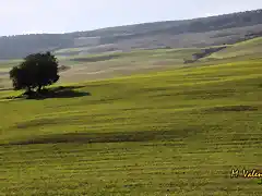 004, hacia el puente de ariza 4, marca