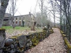 DSCN3953 DSCN3953