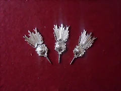 DSCN2287