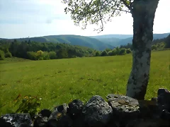 DSCN2075 DSCN2075