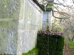 DSCN7226 DSCN7226