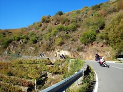 DSCN0896 DSCN0896