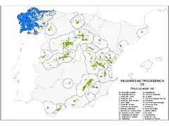 map_Pinus_pinaster_tcm7-285928