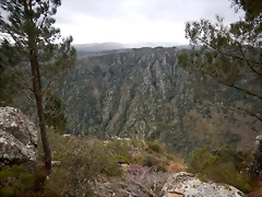 DSCN0230 DSCN0230