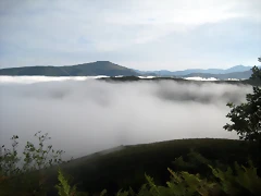 IMG_0369 IMG_0369