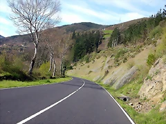 DSCN8634