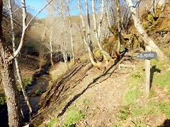 DSCN2800 DSCN2800