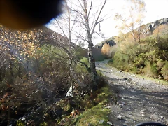 DSCN1346 DSCN1346