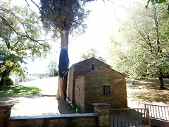 DSCN0302 DSCN0302