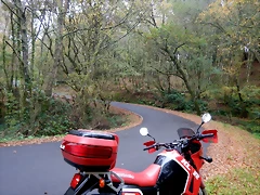 DSCN1182 DSCN1182