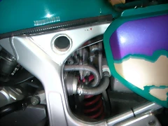 DSCN6445