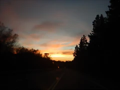 DSCN3580 DSCN3580