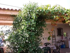 SAN ISIDRO SAN ISIDRO