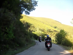 IMG_1003 IMG_1003