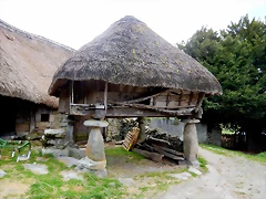 DSCN0886 DSCN0886