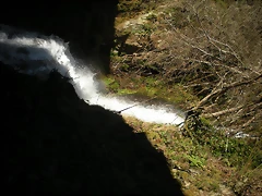 DSCN2988 DSCN2988
