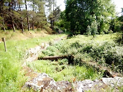DSCN2445