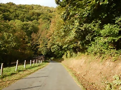 DSCN9845 DSCN9845