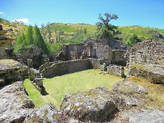 75-IMG_2479 75-IMG_2479
