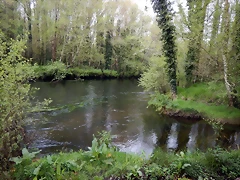 DSCN9180