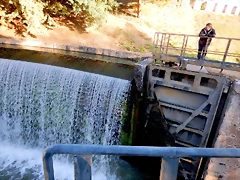 DSCN6430 DSCN6430