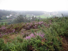 IMG_0631 IMG_0631