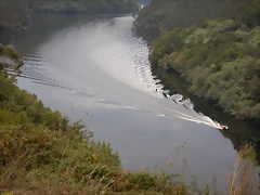DSCN9931 DSCN9931