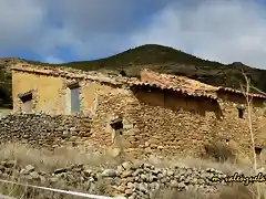 20,Olocau del Rey, marca