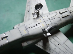 P1110099 P1110099