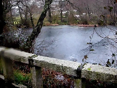 DSCN7445 DSCN7445